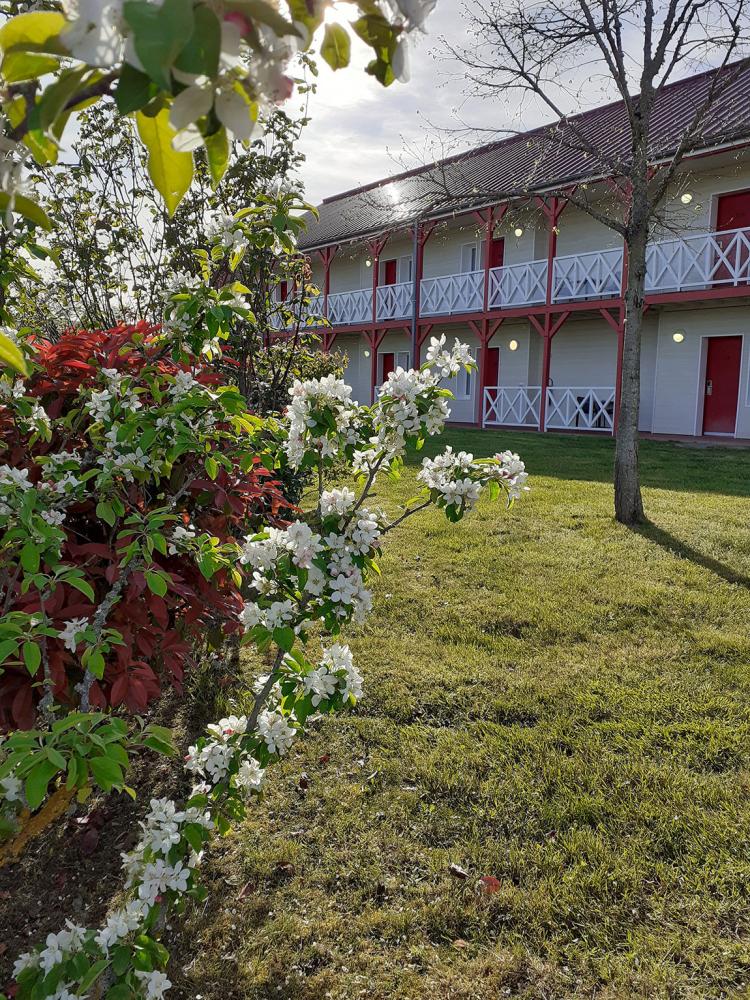 Jardin-0825